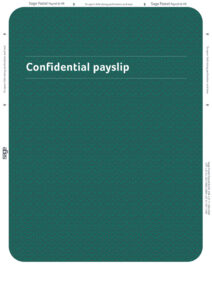 0890_P4_LaserPayslip(A4)Rep3